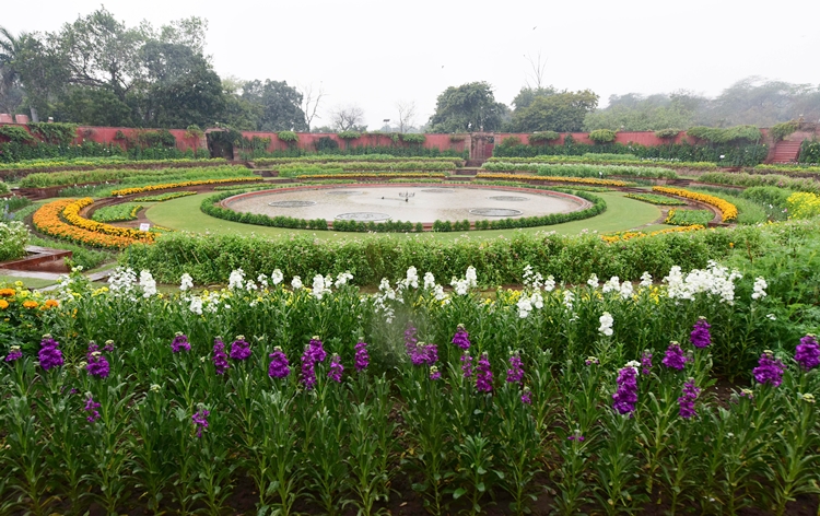 Amrit Udyan To Open for Public from Feb 2