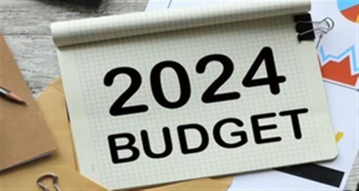 Analyst says US fed policy, Interim Budget key developments