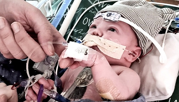 Duke University reveals partial heart transplant grow with children