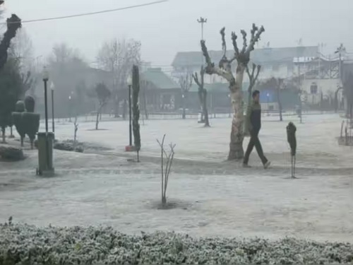 Freezing Kashmir: No Relief from Cold Waves