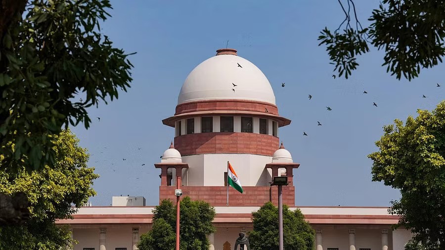 GM Mustard: SC Reserves Order on Pleas for Moratorium on Release of GMOs into Environment