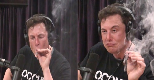 Musk drug use worries board members, billionaire denies