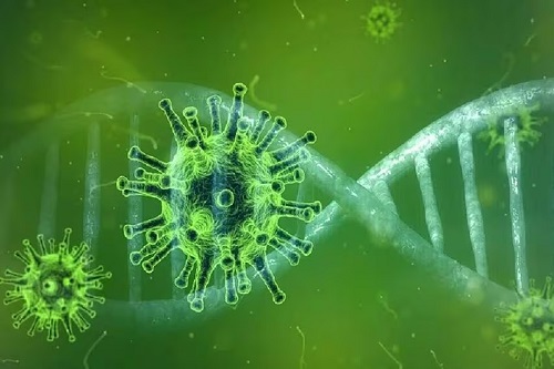 US CDC reports 3,500 Americans died due to long COVID illness