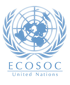 ECOSOC focuses on global work force