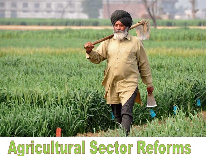 Agricultural Sector Reforms: Punjab Farmers Benefit from MSP Hike, Subsidies, Financial Assistance