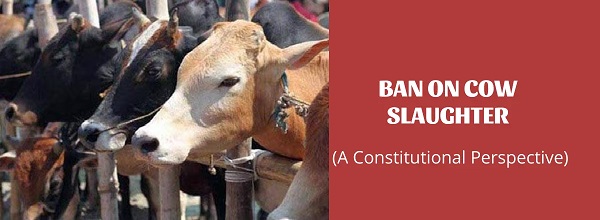 Ban on Cow Slaughter: Significance to Hindu Sentiments
