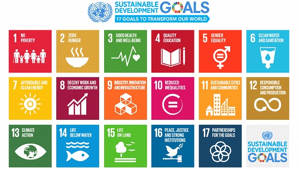 DSG calls global community to collaborate on SDGs