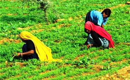 Gujarat CM Encourages Sustainable Farming and Education During Village Visit