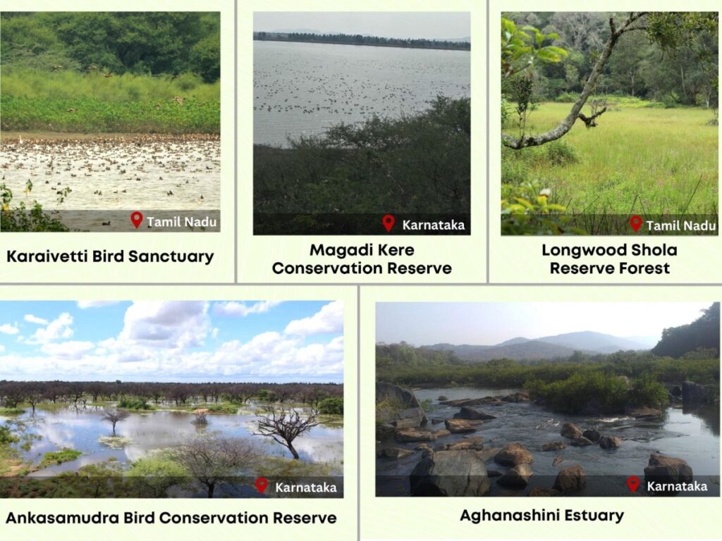 India Increases Tally of Ramsar Sites to 80 of World Wetlands Day 2024