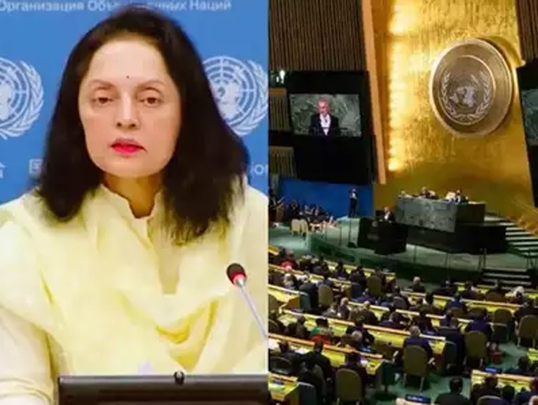 India Stresses Need for Comprehensive Reform at United Nations Security Council