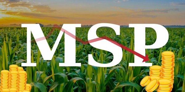 MSP: Ensuring Equitable and Sustainable Farmer Income