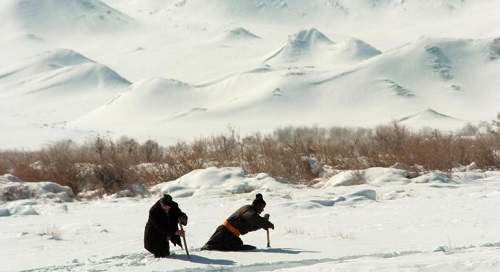 Mongolia faces extreme weather ‘Dzud’ puts 90% of nation at high risk