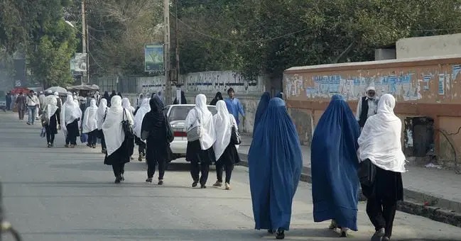 Rights experts calls Taliban to end crackdown on women over ‘bad Hijab’