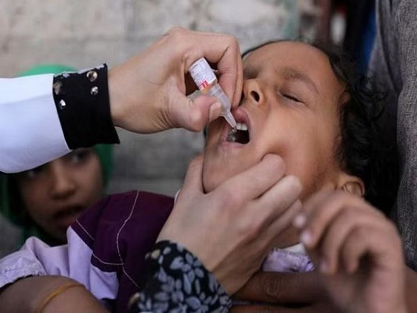 The wild poliovirus detected in 28 sewage samples in Pakistan