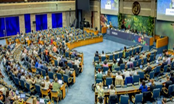 UN Environment Assembly unites to combat ‘triple planetary crisis’