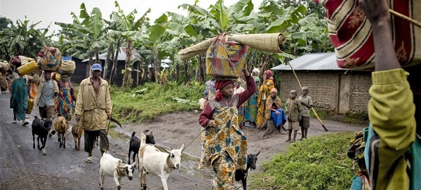 UN agencies voices concern over families caught in DR Congo violence 
