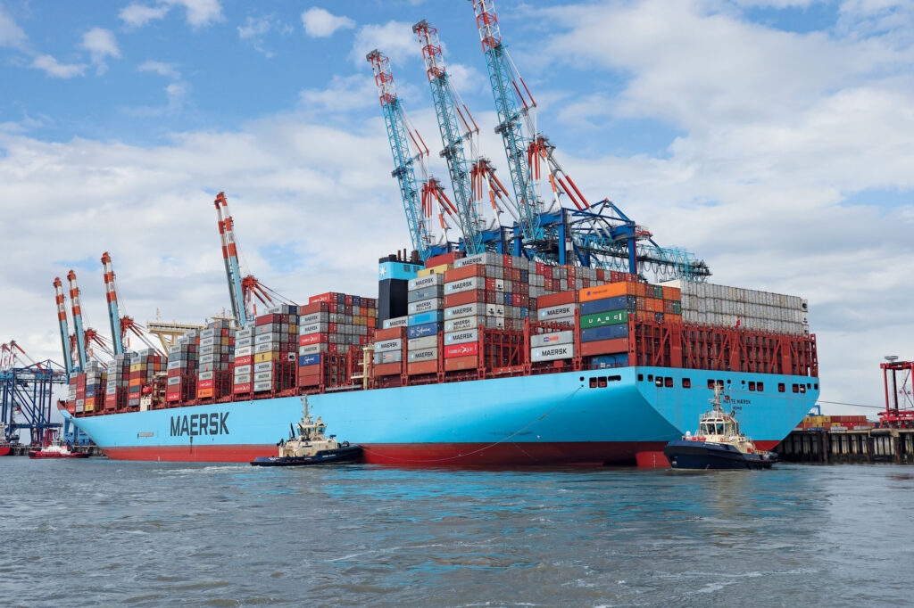 Global maritime agency calls shipping industry to lower traffic to save ocean life
