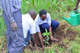 UN marks World Environment Day