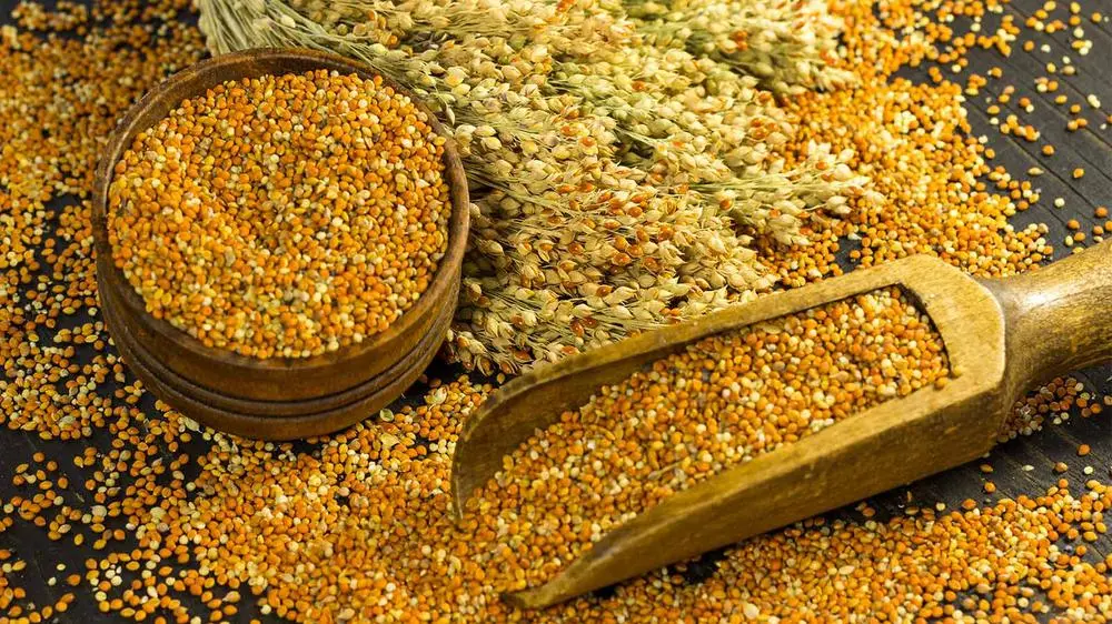 India millet standard gains recognize by FAO Codex Executive Committee