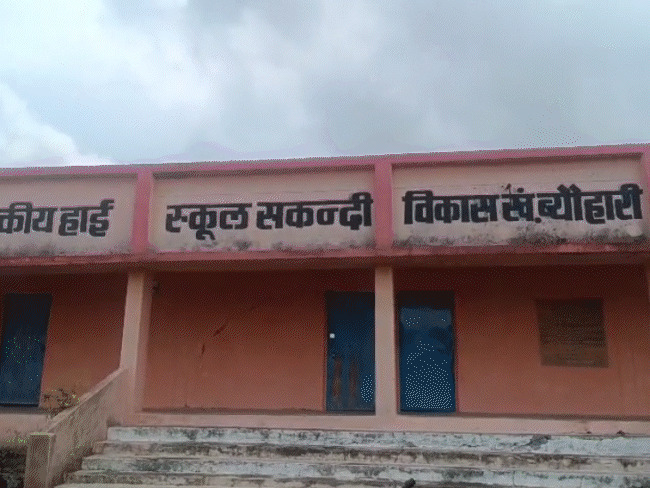 MP School Paint Scam: ₹1.07 Lakh Spent for 4 Litres of Paint, 168 Labourers on One Wall