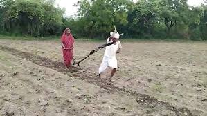 Maharashtra Minister Clears Debt of Farmer Forced to Till Land Without Oxen