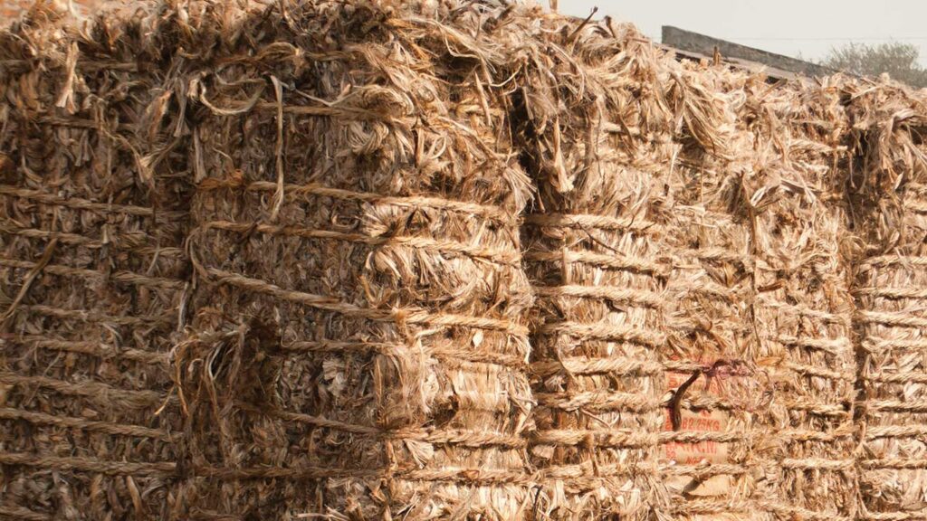 India Bans Jute Imports from Bangladesh Via Land Routes