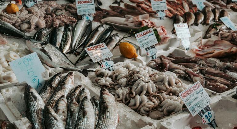 FAO, IAEA says nuclear technology can help fight seafood fraud