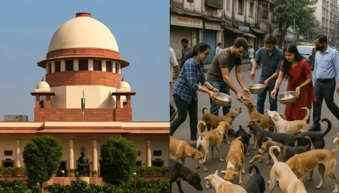 SC Summons Chief Secretaries Over Stray Dog Management