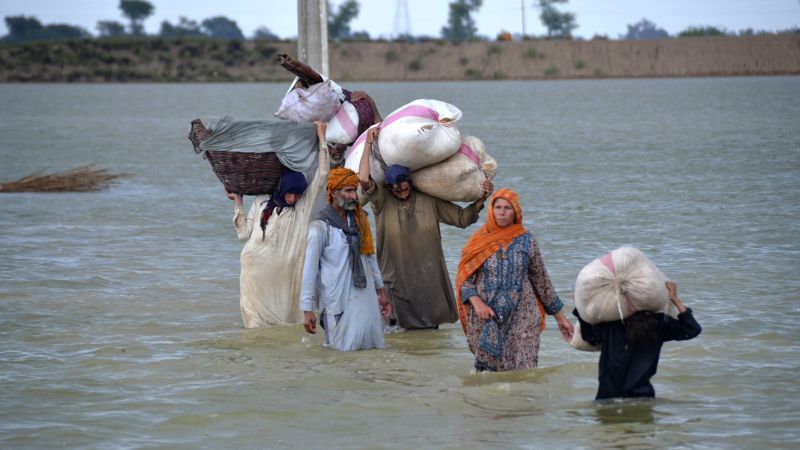 Top relief official warns millions left homeless in Pakistan floods, needs are huge
