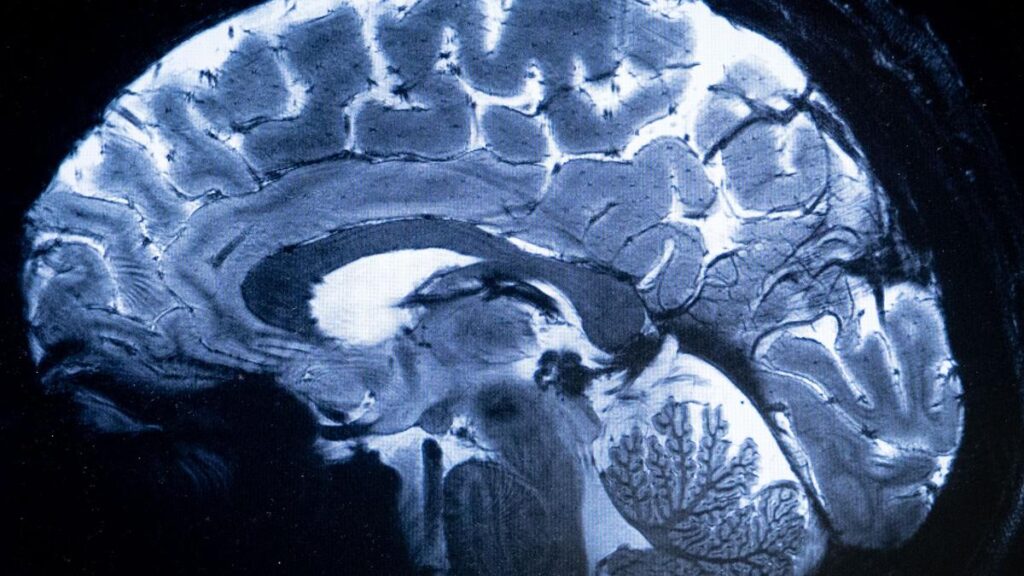 Kerala on High Alert as Deadly ‘Brain-Eating Amoeba’ Cases Surge