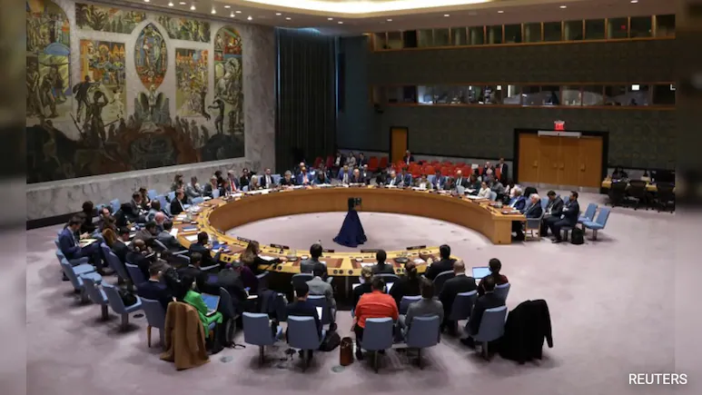 Peacekeeping Needs UNSC Reforms to Be Effective: India