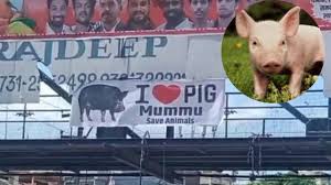 Indore’s ‘I Love Pig’ Controversy: A Deliberate Attempt to Divide?