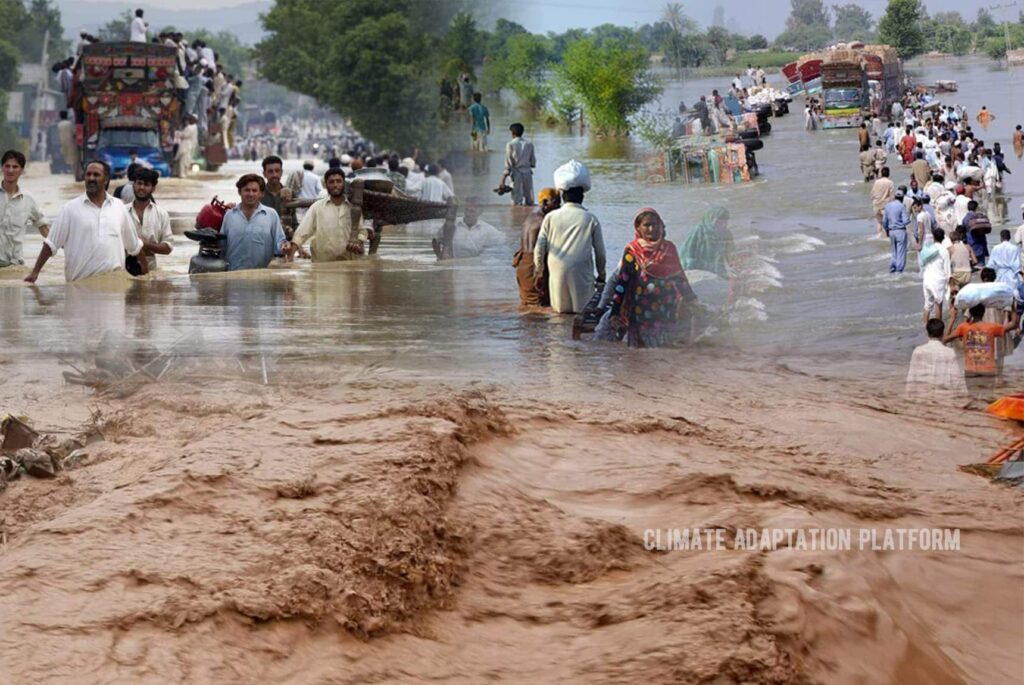 IOM says 6M people affected by worst floods in Pakistan