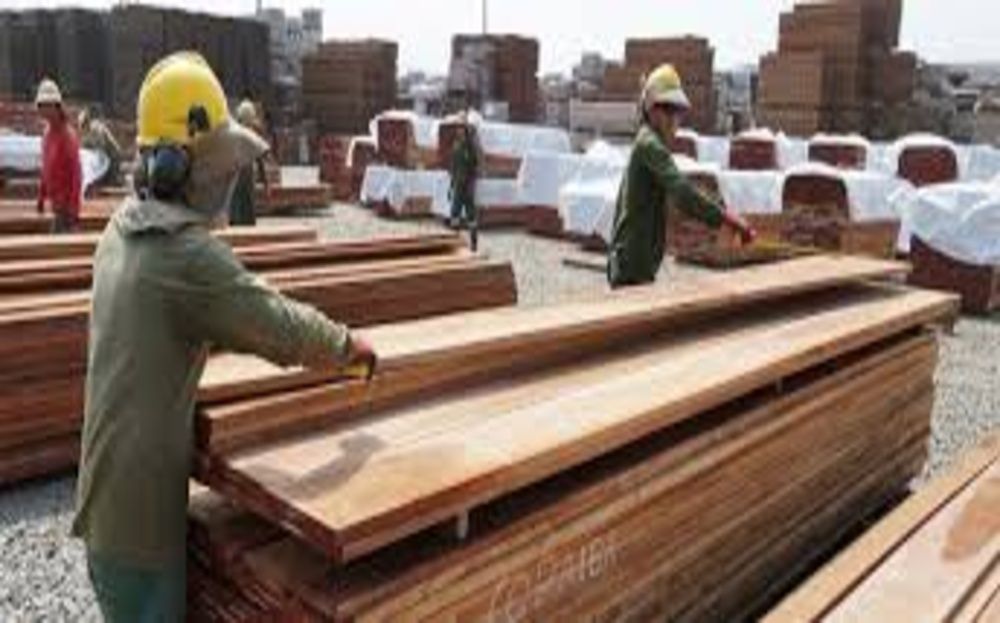 FAO reports paper, wood, forest products show signs of recovery