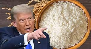 Trump to impose new tariffs on imports of Indian rice