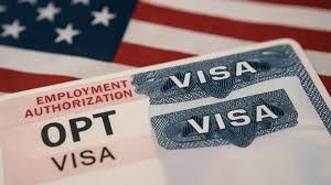 US lawmakers calls to end OPT, unregulated system
