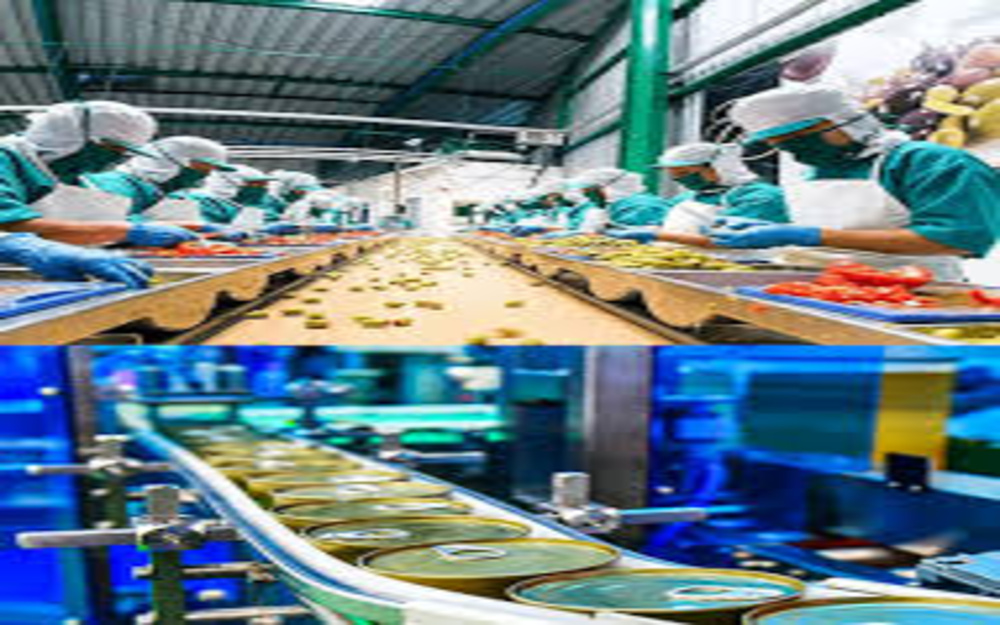 Nourishing India’s Future: A Needonomics Approach for a National Food Education Policy
