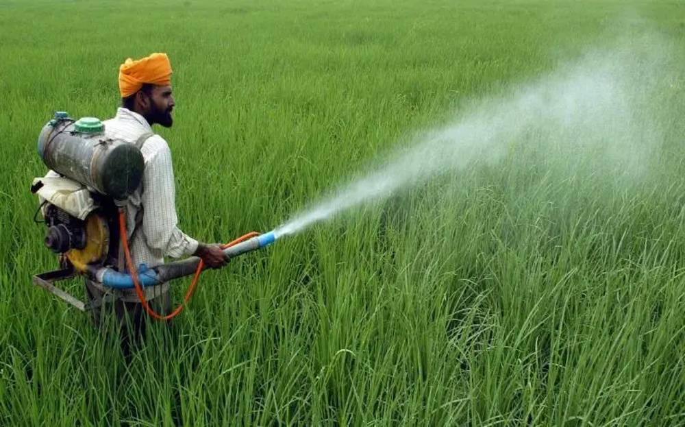 Centre Seeks Public Feedback on Pesticides Management Bill 2025