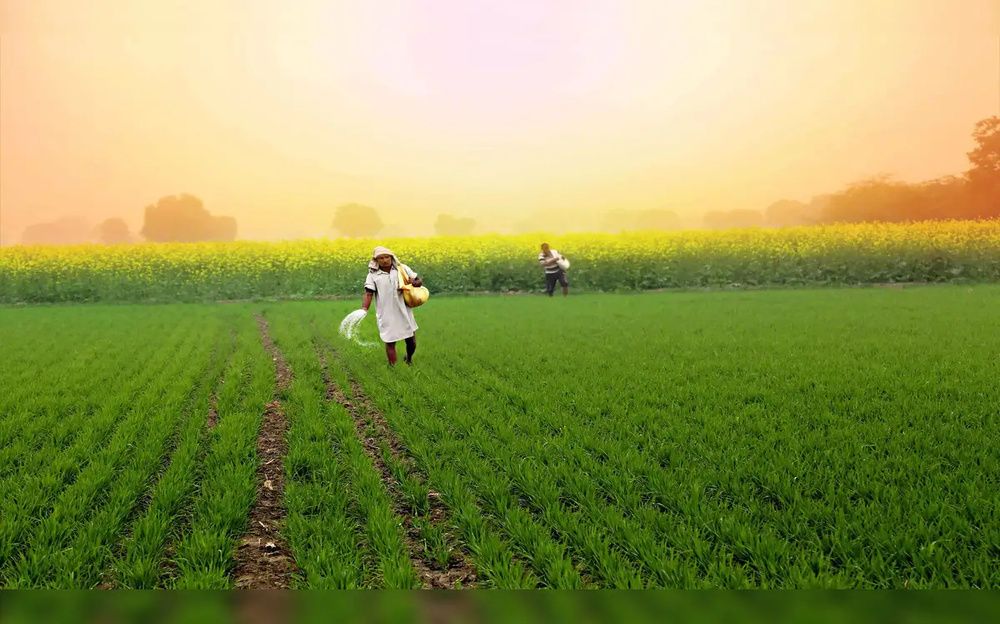 MP Farmers Look to Budget for Fair Prices, Faster Insurance Relief