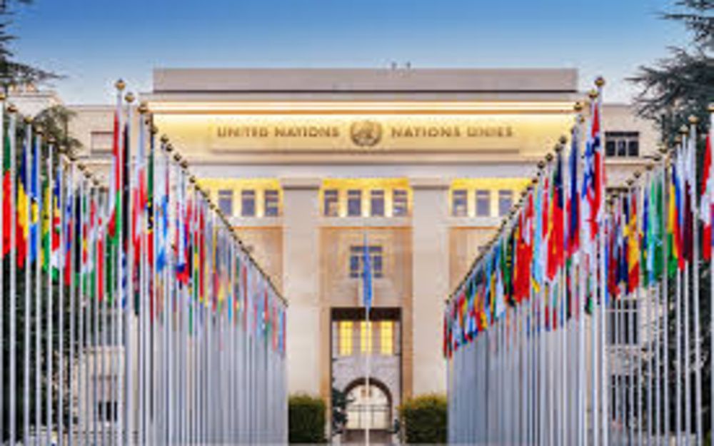 UN report shows global economy steady, subdued growth