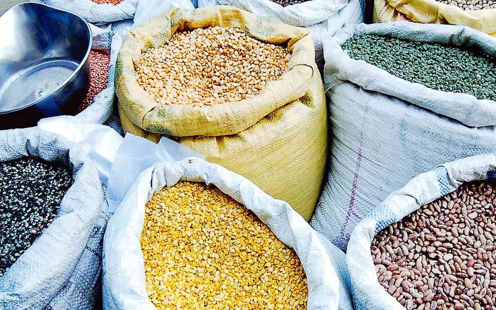 India’s Pulses Revolution: From Largest Importer to Self-Reliance