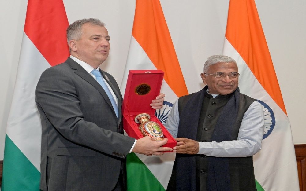 Hungary Delegation Meets RS Dy Chairman Harivansh