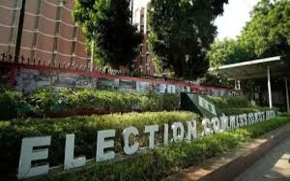 ERO Can Decide Voter Eligibility Micro-Observers  No Final Say