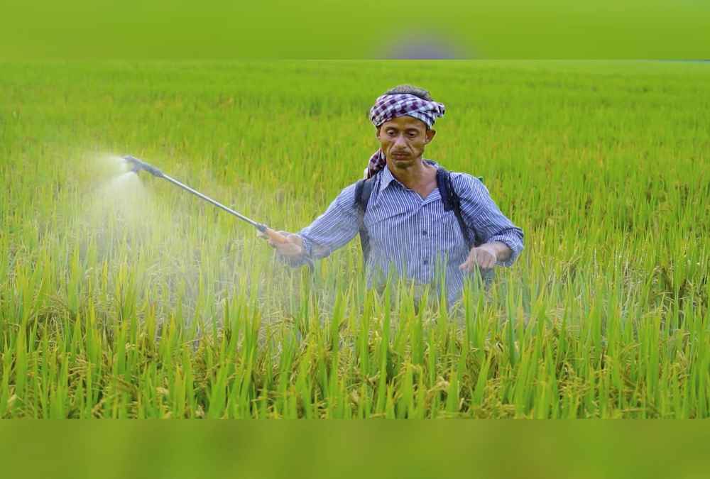 Govt Approves ₹41,533 Cr Fertiliser Subsidy for Kharif 2026
