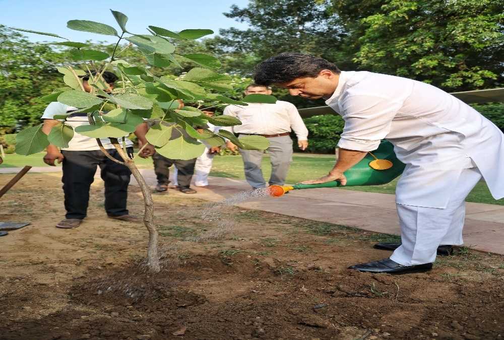 Scindia Plants Palash Sapling Under ‘Ek Ped Maa Ke Naam’
