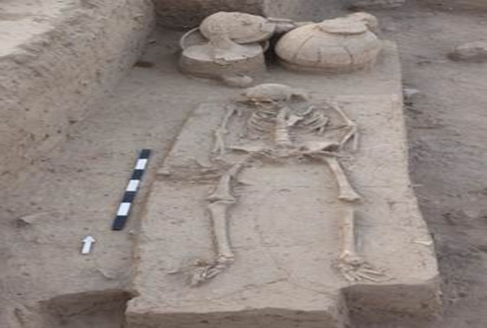 Rakhigarhi Human Remains Sent for Advanced Scientific Study