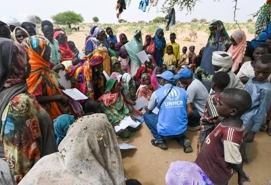 UNHCR says Gen Z shows most empathy to refugees