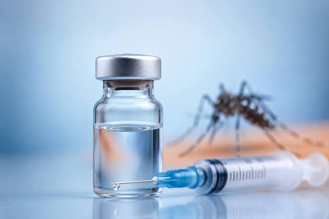 India Approves First Dengue Vaccine, Qdenga