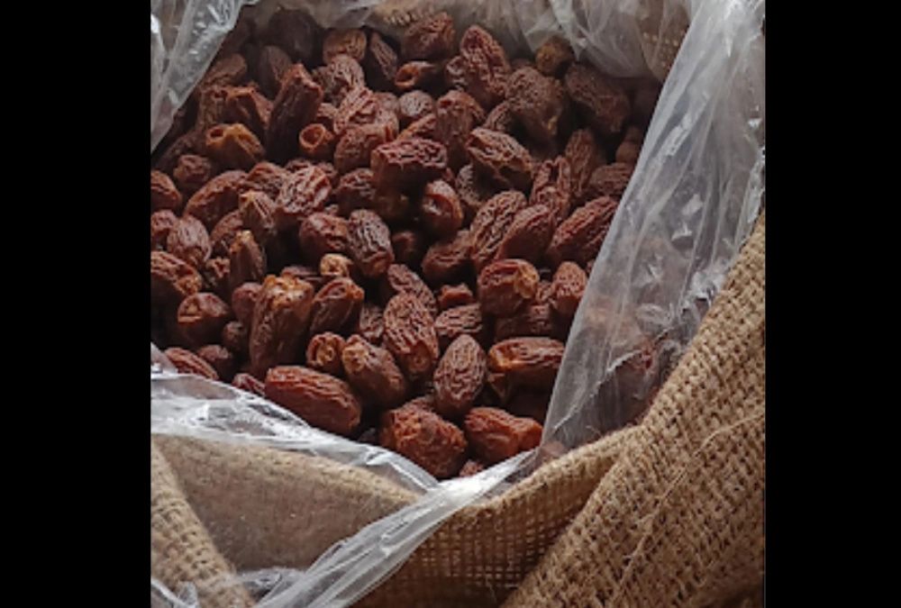 ₹3 Crore Pakistan-Origin Dry Dates Seized at Kandla Port