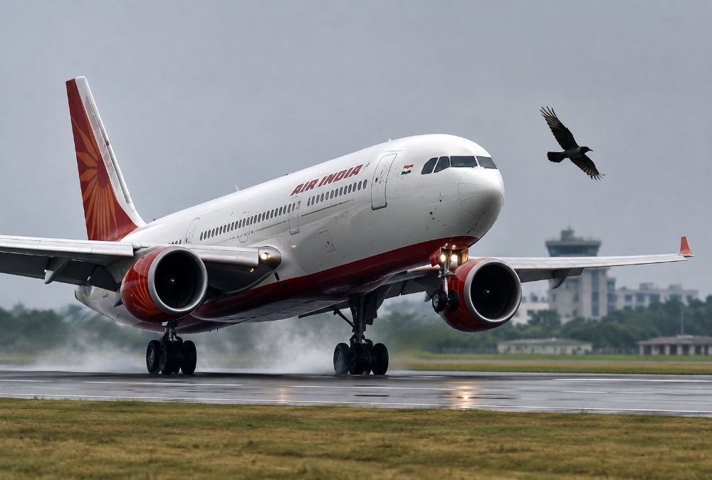 Air India Delhi-Patna Flight Hit by Bird at Patna Airport